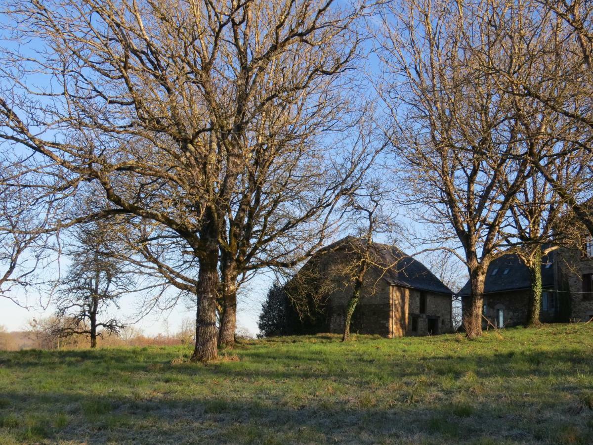 Domaine De La Clauzade Bed & Breakfast Saint-Germain-les-Vergnes Luaran gambar